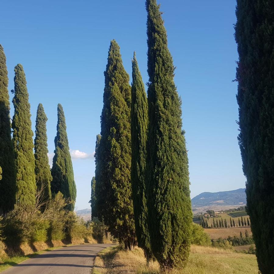 Appartamento Dimora del pellegrino San Quirico dʼOrcia Esterno foto