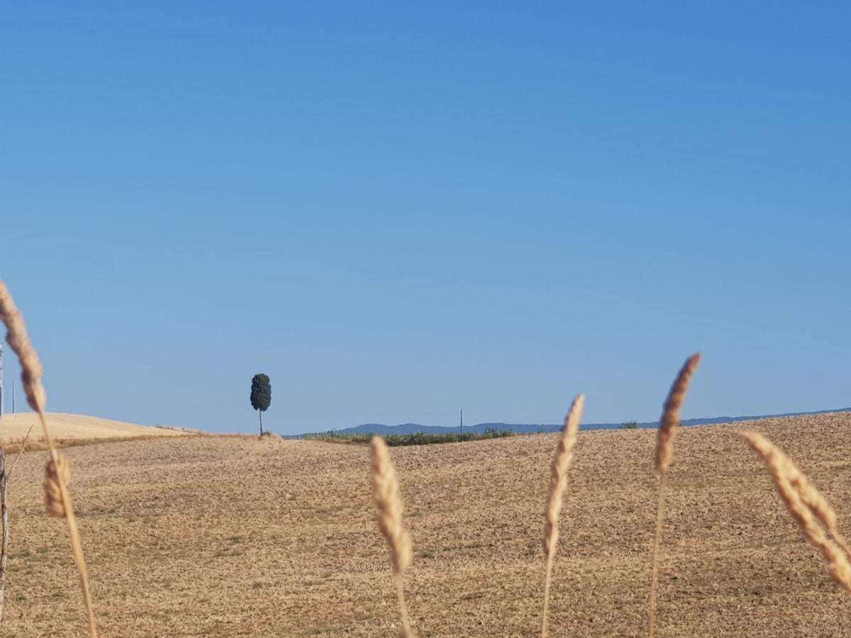 Appartamento Dimora del pellegrino San Quirico dʼOrcia Esterno foto