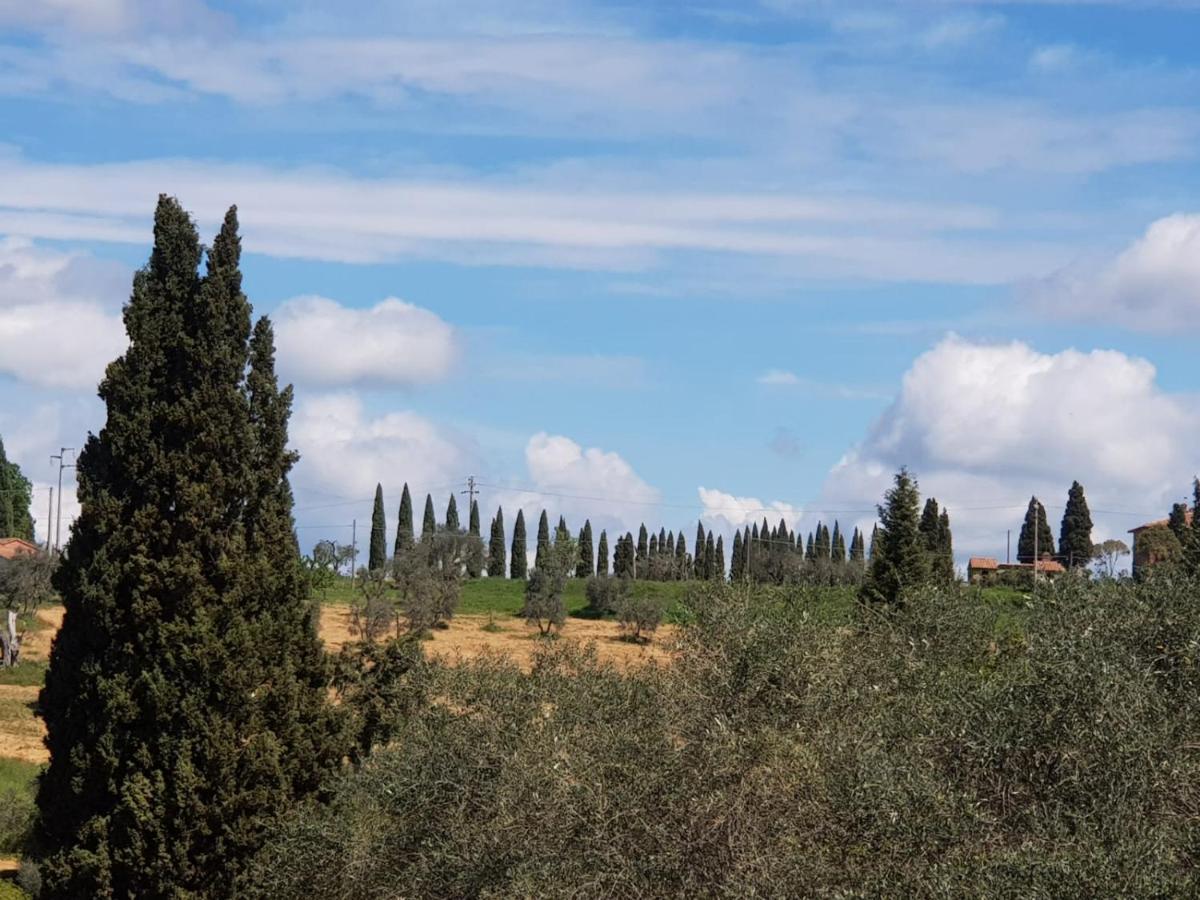 Appartamento Dimora del pellegrino San Quirico dʼOrcia Esterno foto