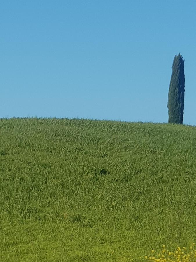 Appartamento Dimora del pellegrino San Quirico dʼOrcia Esterno foto