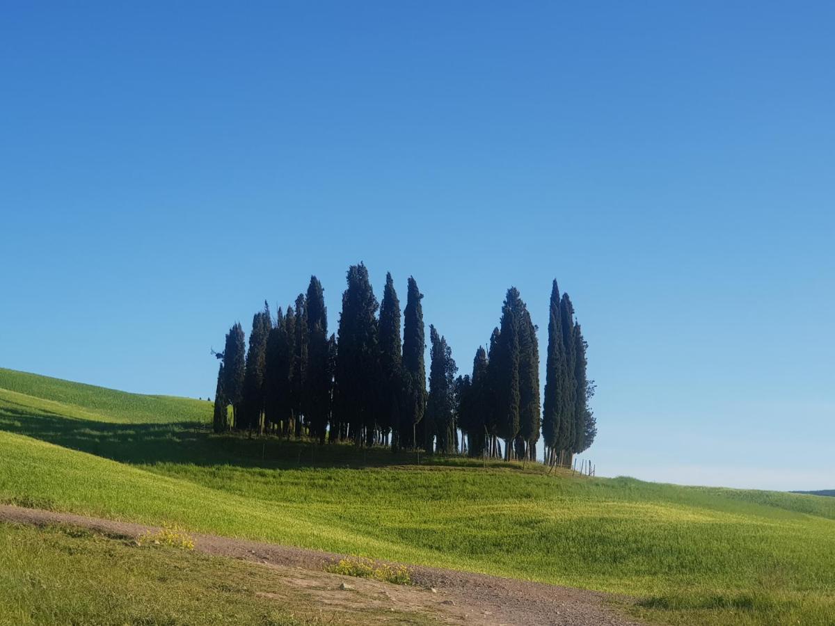 Appartamento Dimora del pellegrino San Quirico dʼOrcia Esterno foto