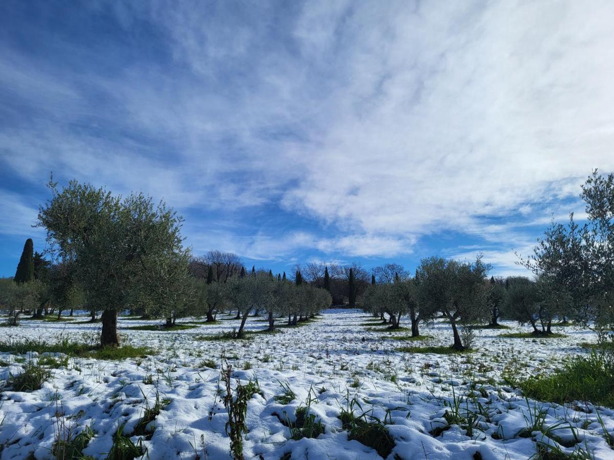 Appartamento Dimora del pellegrino San Quirico dʼOrcia Esterno foto