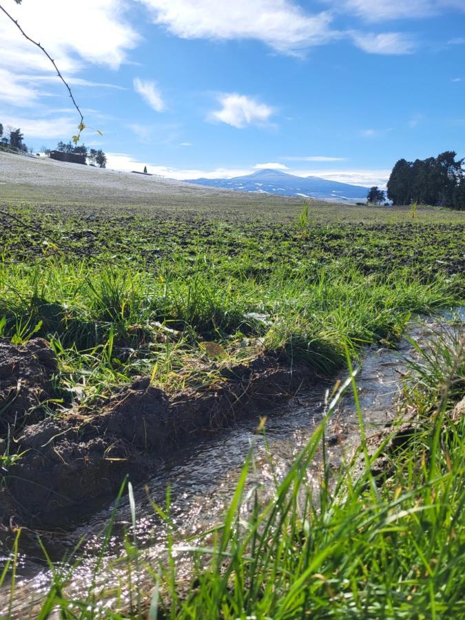 Appartamento Dimora del pellegrino San Quirico dʼOrcia Esterno foto